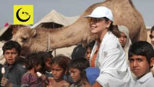 "امداد نہیں، عزت دیں" — حدیقہ کیانی کا سیلاب متاثرین کے لیے عوام سے مؤثر پیغام