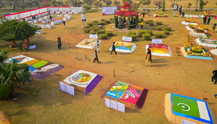 راولپنڈی میں خزاں کے موسم میں گلِ داودی کی رنگا رنگ نمائش کا آغاز