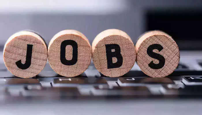 خلیجی ممالک میں 8 لاکھ پاکستانیوں کیلئے روزگار کے مواقع پیدا کرنے کا ہدف مقرر